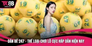 Dàn đề 247