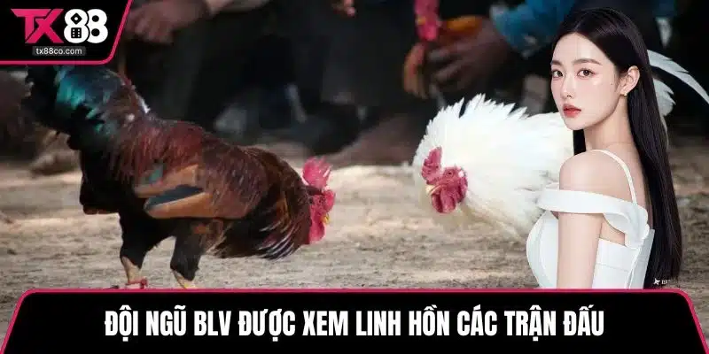 Đội ngũ BLV được xem linh hồn các trận đấu