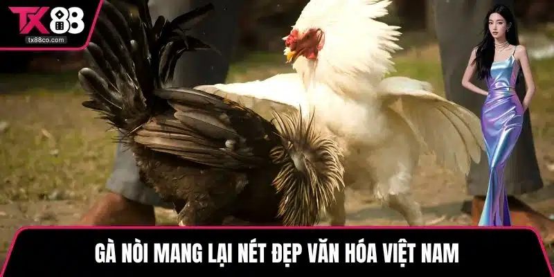 Gà nòi mang lại nét đẹp văn hóa Việt Nam