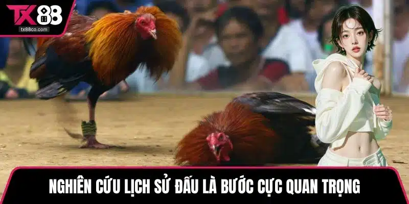 Nghiên cứu lịch sử đấu là bước cực quan trọng