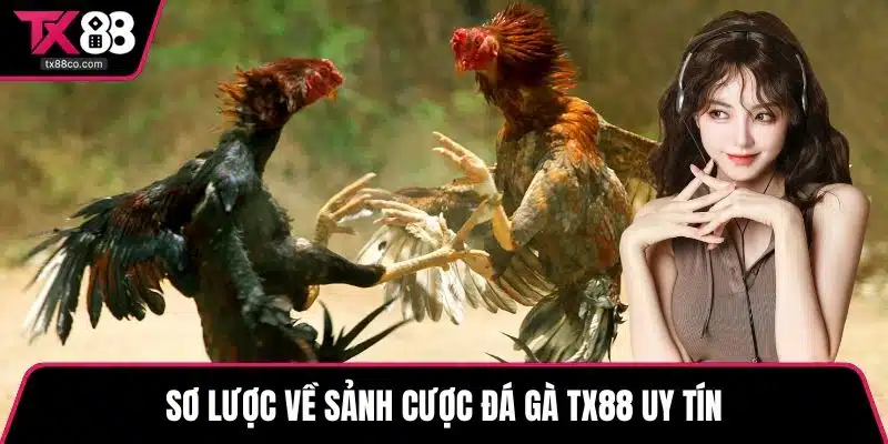 Sơ lược về sảnh cược đá gà TX88 uy tín